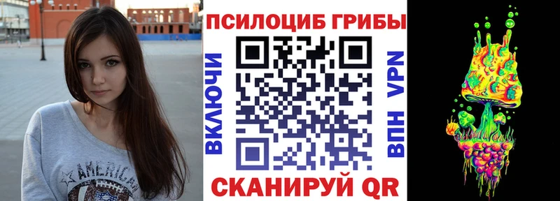 купить  сайты  Талица  Галлюциногенные грибы Cubensis 
