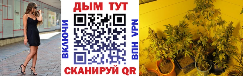 Бошки Шишки OG Kush  MEGA tor  Талица  где можно купить наркотик 